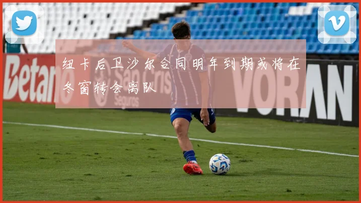 纽卡后卫沙尔合同明年到期或将在冬窗转会离队