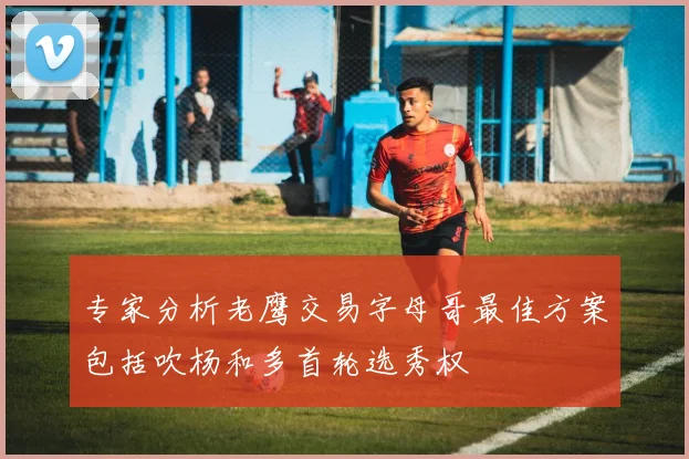 专家分析老鹰交易字母哥最佳方案包括吹杨和多首轮选秀权