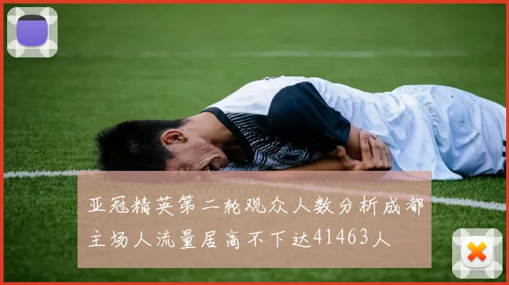 亚冠精英第二轮观众人数分析成都主场人流量居高不下达41463人